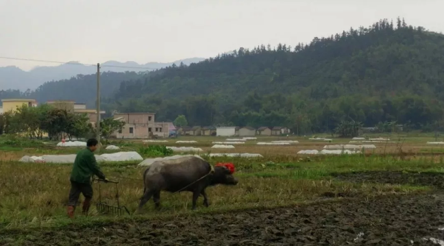 农村土地确权结束，没登记的四荒地如何处理？